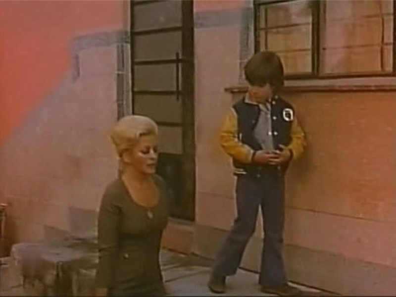 Foto 4 de Las mariposas disecadas 