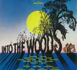 Into The Woods: Broadway Musical