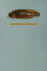 Fish Story (Fish Story)