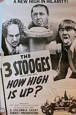 Rebitadores rebitados (How high is up?)