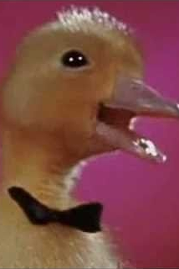  de Série As Aventuras do Pato Dínamo (1990)