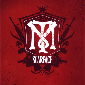 Foto de perfil de Wanderlei Silveira Guedes