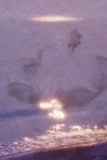 Intrigues (V) (Intrigues (V))