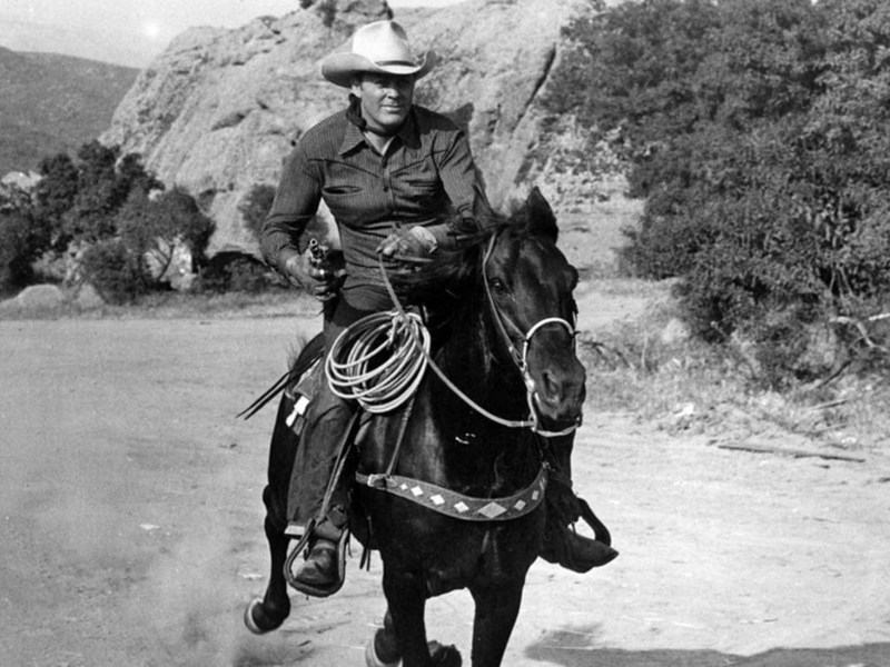 Foto 3 de Protetor de Diligência