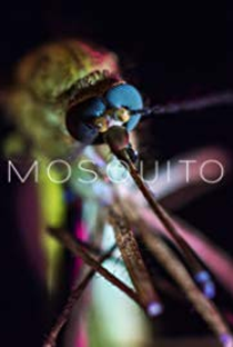 Mosquito: Uma Ameaça no Ar - Poster / Capa / Cartaz - Oficial 2