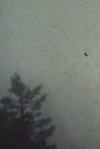 Poster 1 de Curta The Fog (1970)