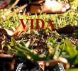 Vida