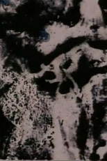 Persian Series #14 (Persian Series #14)