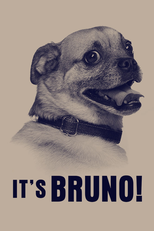 It's Bruno! (It's Bruno!)