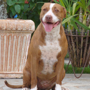 Foto de perfil de marcos mateus