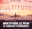 Multitude