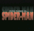 Peter Parker es Spider Man