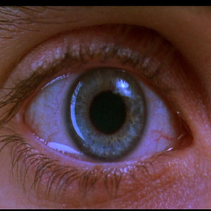 Foto de perfil de Luan Felipe