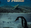 Paraíso Subaquático: A Defesa dos Oceanos