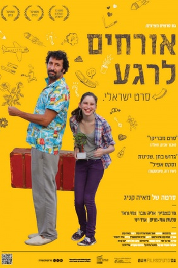 Poster de Filme Pequenas Mentiras (2011)