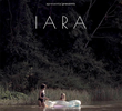 Iara