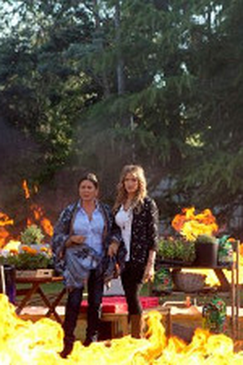 Poster de Episódio Extrañas parejas (2013)