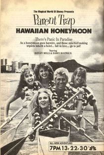 Lua de Mel no Havaí - Poster / Capa / Cartaz - Oficial 1