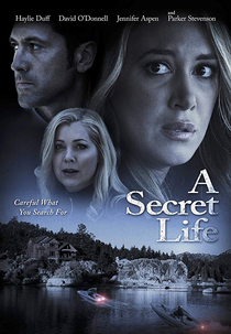 His Secret Family (His Secret Family)