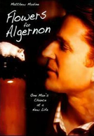 Um Amigo para Algernon