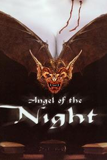 Poster de Filme Anjo da Noite (1998)