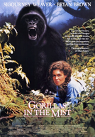Nas Montanhas dos Gorilas (Gorillas in the Mist: The Story of Dian Fossey)