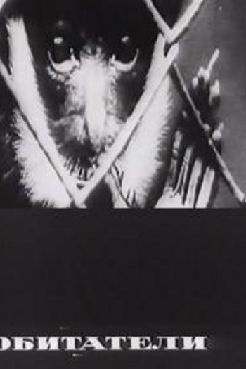 Poster de Curta Os Habitantes (1970)