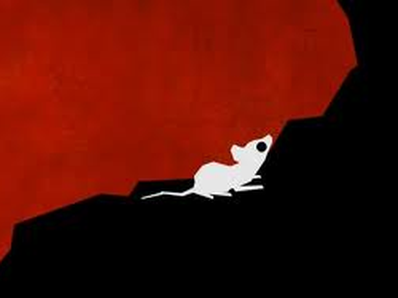 Foto 1 de A Mouse's Tale