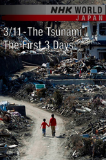 3/11 - The Tsunami: The First 3 Days (3/11 - The Tsunami: The First 3 Days)
