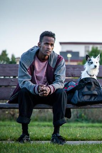 Poster de Filme A Stray (2016)