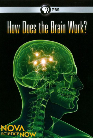 Poster 1 de Filme How Does the Brain Work? (2011)