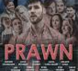 Prawn