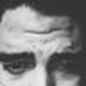 Foto de perfil de Romeu Lima