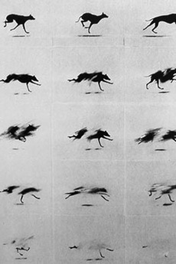 Poster de Curta Accident (1973)