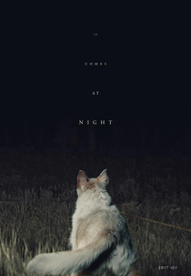Ao Cair da Noite (It Comes At Night)