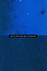 Sound of a Million Insects, Light of a Thousand Stars (Sound of a Million Insects, Light of a Thousand Stars)