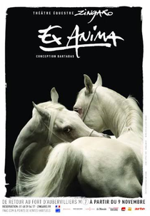 Ex Anima (Ex Anima Experience)