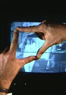A Expressão das Mãos (Der Ausdruck der Hände)