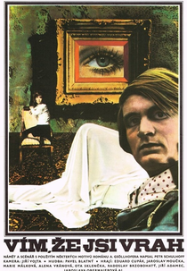 I Know You Are a Murderer... (Vím, že jsi vrah…)