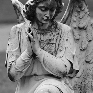 Foto de perfil de Ateu