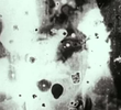 N°5