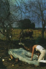 Tori Amos: Caught a Lite Sneeze (Tori Amos: Caught a Lite Sneeze)