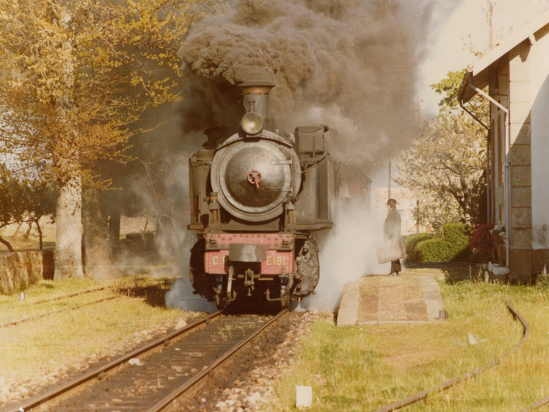 Foto 3 de Manhã Submersa