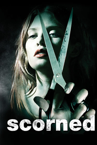 Poster 2 de Filme Intenções Perigosas (2013)