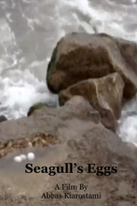 Seagull’s Eggs (Seagull’s Eggs)
