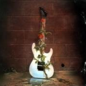 Foto de perfil de Caciano Milak Natal