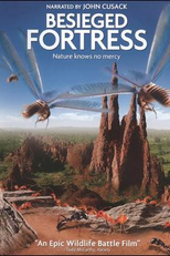 The Besieged Fortress (La citadelle assiégée)