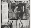 The Amazons