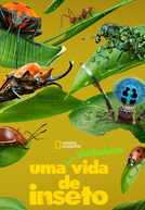 Uma Verdadeira Vida de Inseto (1ª Temporada) (A Real Bug's Life (Season 1))