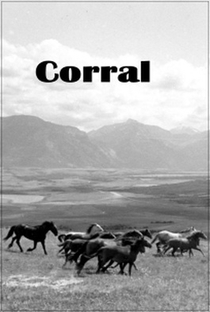 Corral - Poster / Capa / Cartaz - Oficial 2
